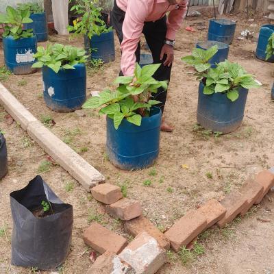 Whatsapp Image 2024 08 21 At 12.15.54 1