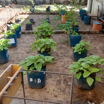 Whatsapp Image 2024 08 21 At 12.15.55